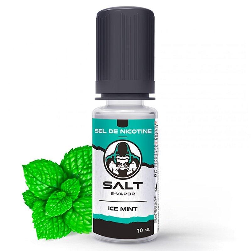 Ice Mint Salt - Salt E-Vapor